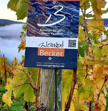 Πανσιόν Weingut U. Gaestehaus Becker