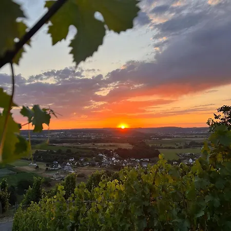 Weingut U. Gaestehaus Becker Maison d'hôtes *