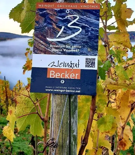 Gæstehus Weingut U. Gaestehaus Becker