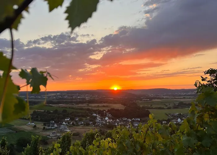 Weingut U. Gaestehaus Becker Gæstehus 3*